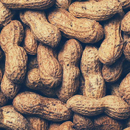 Мировые рекорды, связанные с арахисом - статьи от компании Good Nut