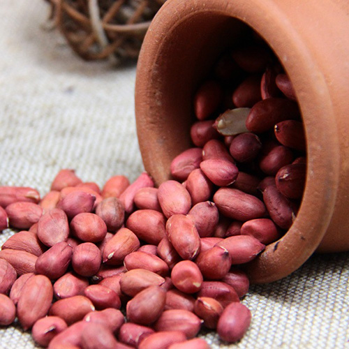 Особенности выращивания арахиса в Узбекистане - статьи от компании Good Nut