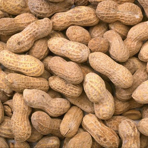 Особенности выращивания арахиса в Узбекистане - полезные статьи от компании Good Nut