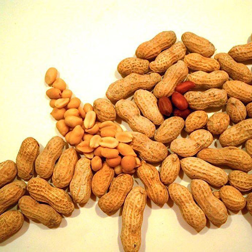 Особенности выращивания арахиса в Узбекистане - важные статьи от компании Good Nut