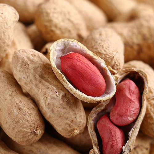 Польза и вред арахиса для детей - важные статьи от компании Good Nut
