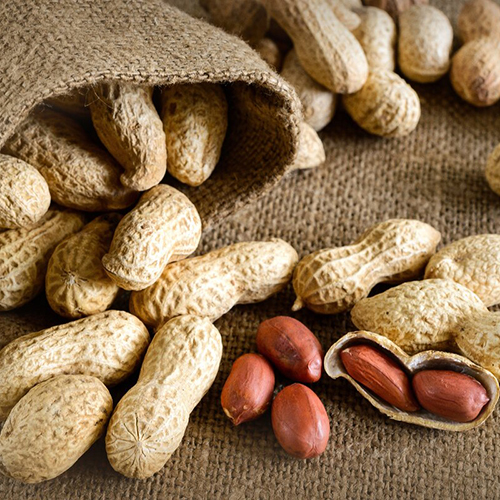 В чем сила арахиса? - важные статьи от компании Good Nut