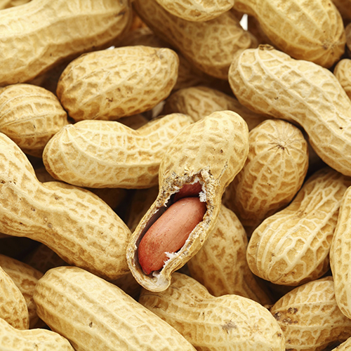 Виды арахиса в экспортных поставках - полезные статьи от компании Good Nut