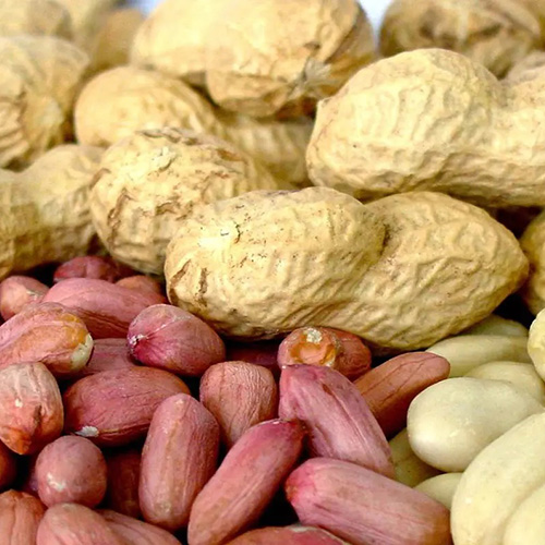 Выращивание арахиса в Индии - статьи от компании Good Nut