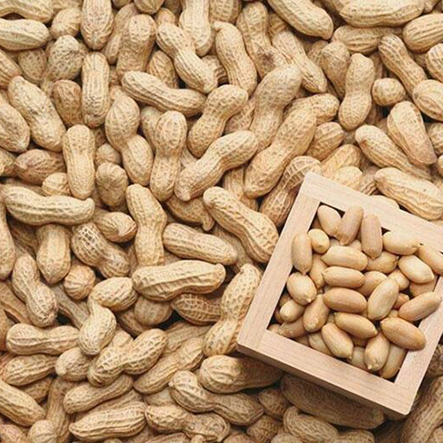 Выращивание арахиса в Индии - полезные статьи от компании Good Nut